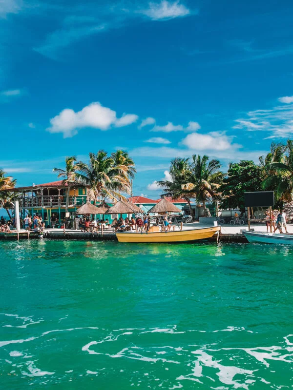 Palm trees on the coast of Belize
