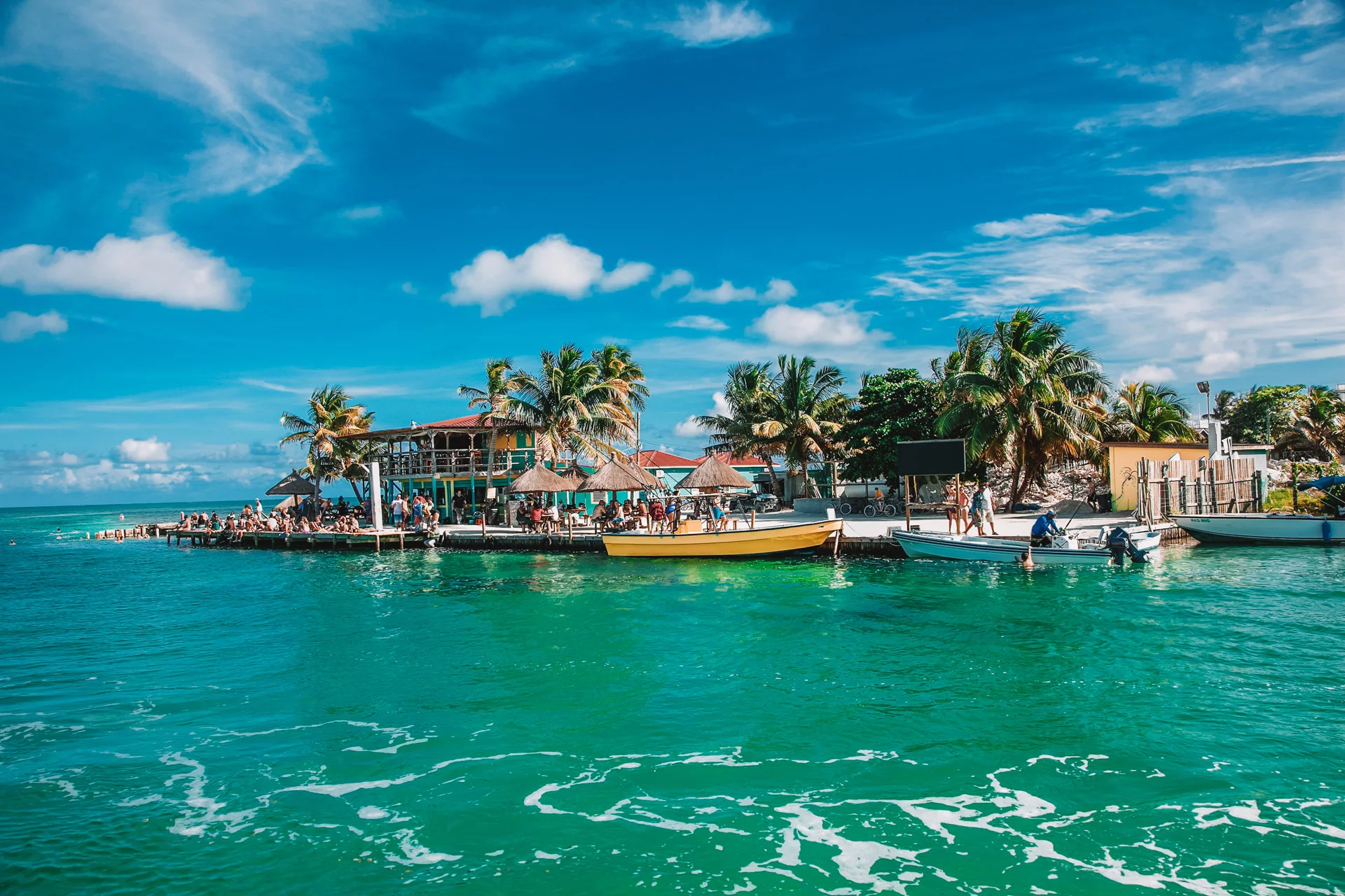 Palm trees on the coast of Belize