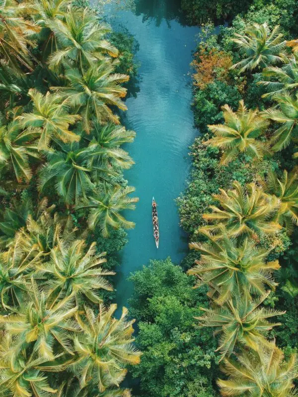 An aerial view of a boat travelling on a river through the Borneo jungle