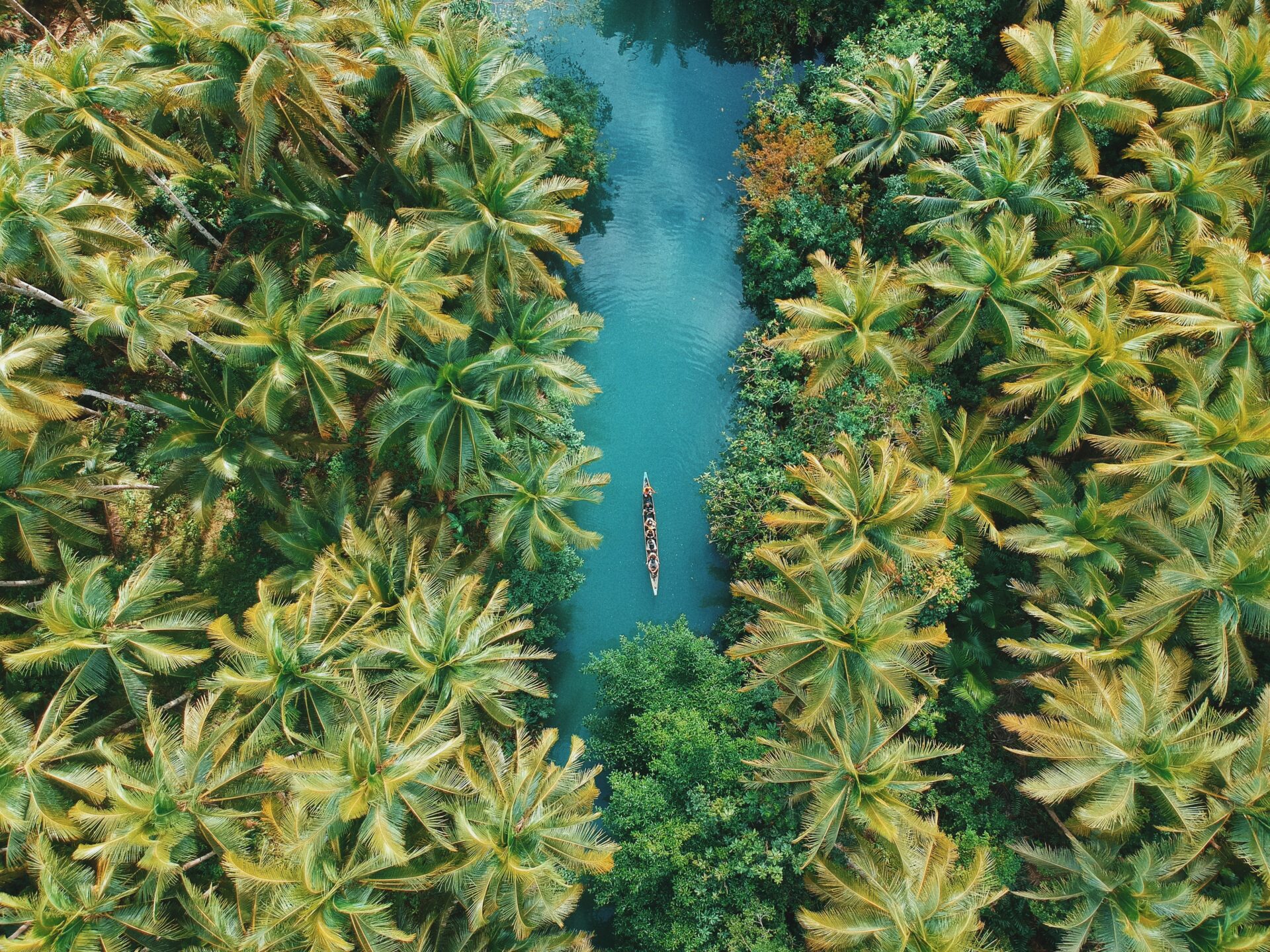 An aerial view of a boat travelling on a river through the Borneo jungle