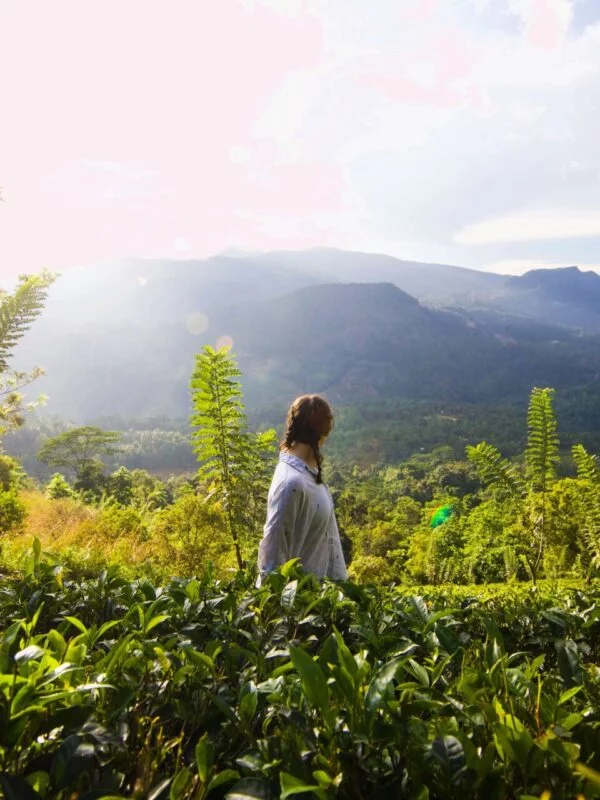Trekking to Knuckles on a school expedition to Sri Lanka
