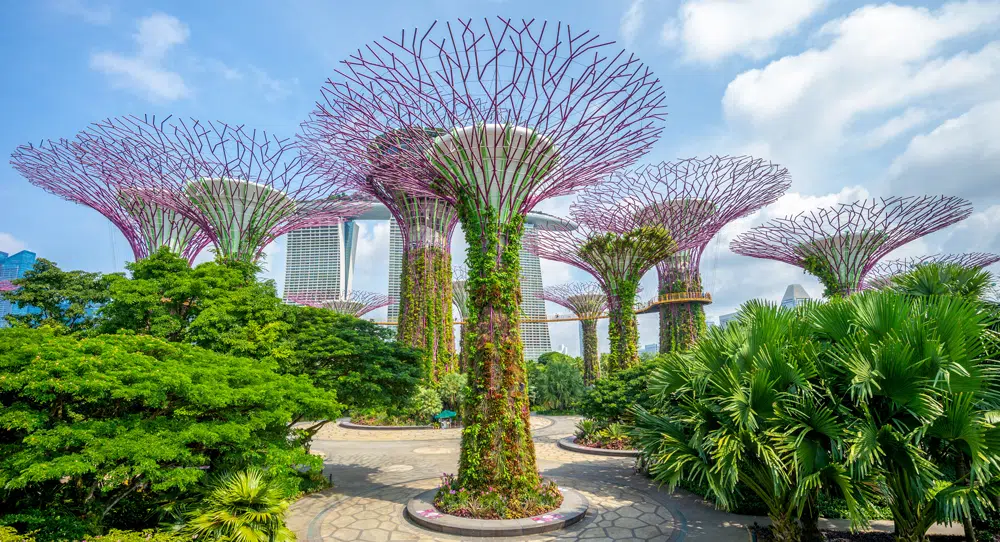 Visiting the Garden by the Bay in Singapore on an overseas school trip