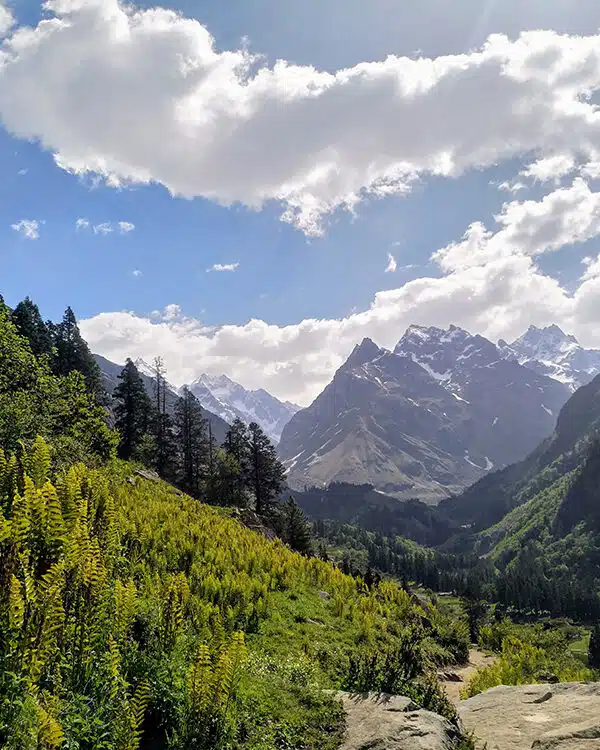 Trekking through the Himalayas in India on a school trip