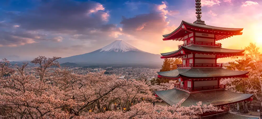 Fuji Mountain and Chureito Pagoda in Japan on an overseas school trip