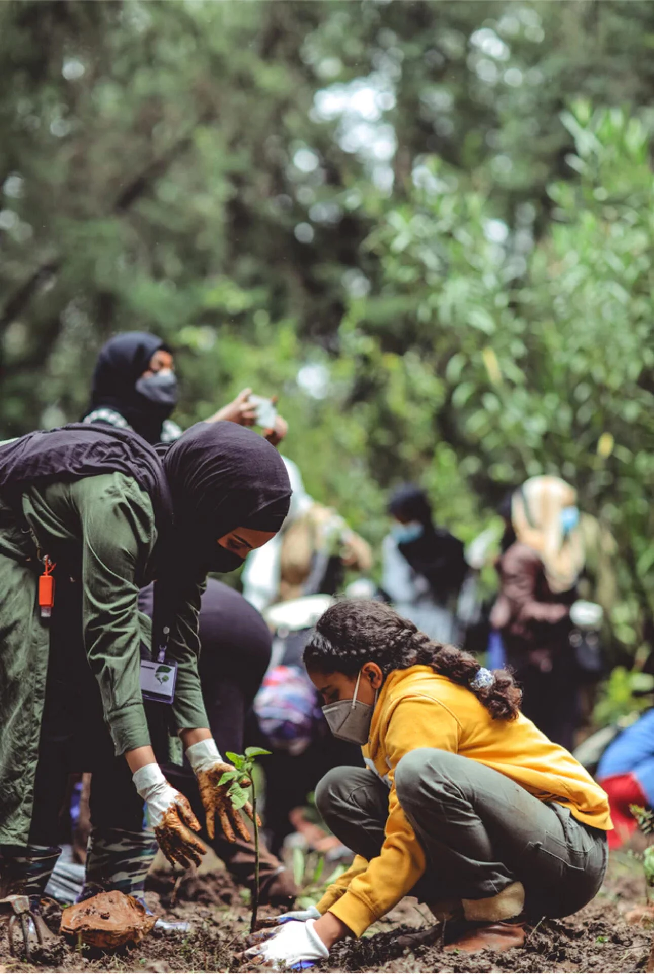 Planting a tree on a sustainable project on a school expedition