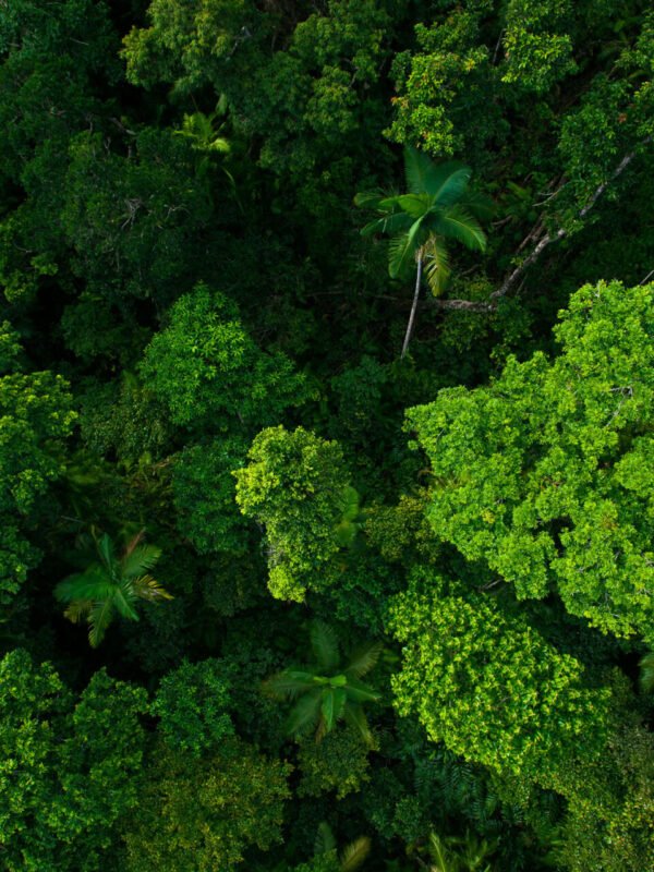 Sustainable travel