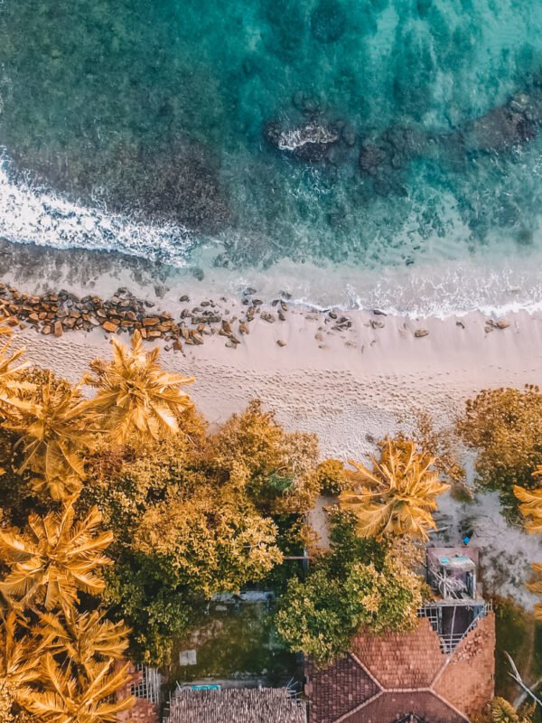 A drone shot of a palm tree lined beach in Sri Lanka