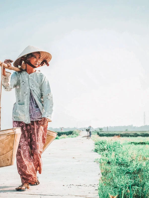 A local working on rice paddies in Vietnam